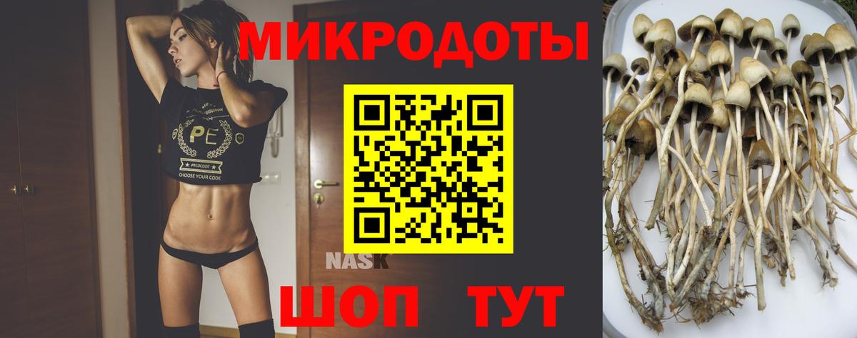 Чапаевск  Галлюциногенные грибы Magic Shrooms  Вход с VPN  Псилоцибиновые грибы GOLDEN TEACHER 